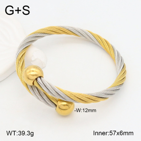 2BA202194abol-387  Stainless Steel Bangle