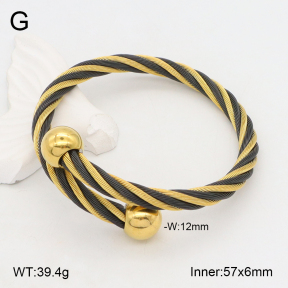2BA202195vbpb-387  Stainless Steel Bangle