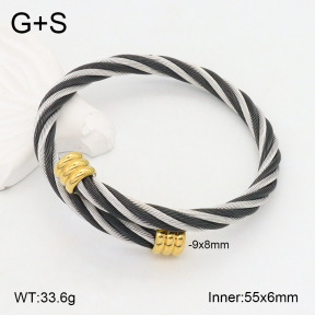 2BA202196bbov-387  Stainless Steel Bangle