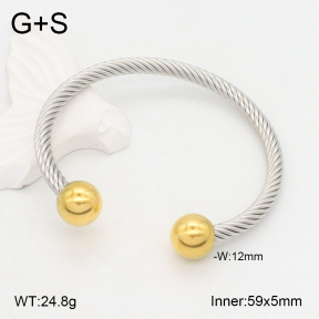 2BA202197vbmb-387  Stainless Steel Bangle