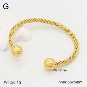 2BA202198vbnl-387  Stainless Steel Bangle