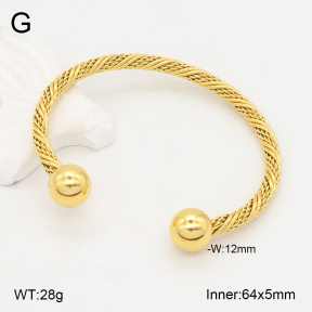 2BA202200vbnl-387  Stainless Steel Bangle