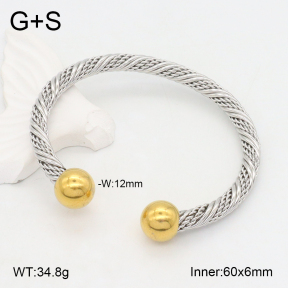 2BA202203bbml-387  Stainless Steel Bangle