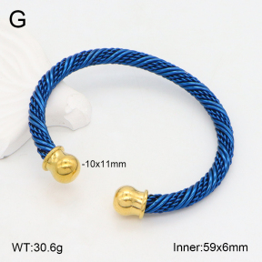 2BA202205abol-387  Stainless Steel Bangle