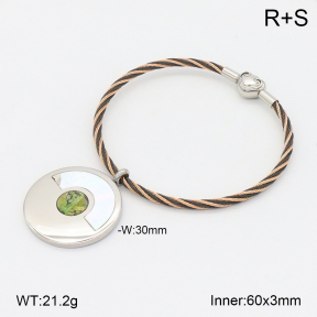 2BA300496ahjb-722  Stainless Steel Bangle