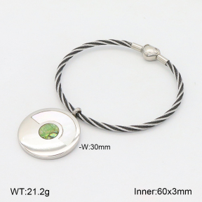 2BA300497bhia-722  Stainless Steel Bangle