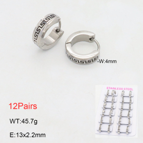 2E2006211akoa-387  Stainless Steel Earrings