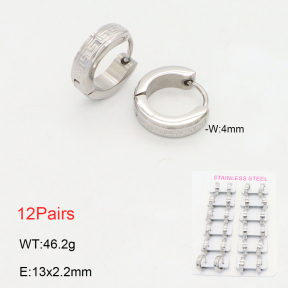 2E2006212akia-387  Stainless Steel Earrings
