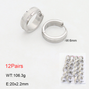 2E2006213amaa-387  Stainless Steel Earrings