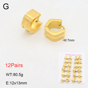 2E2006214alka-387  Stainless Steel Earrings