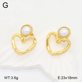 2E3003634aajl-472  Stainless Steel Earrings