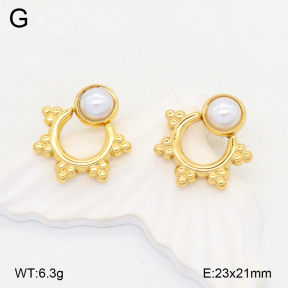 2E3003635aajl-472  Stainless Steel Earrings
