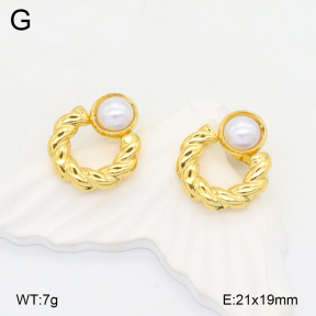 2E3003636aajl-472  Stainless Steel Earrings