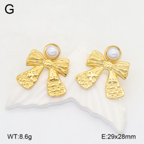 2E3003638aajl-472  Stainless Steel Earrings