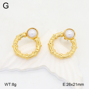 2E3003639aajl-472  Stainless Steel Earrings