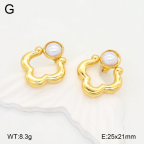 2E3003641aajl-472  Stainless Steel Earrings