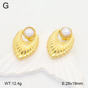 2E3003647aajl-472  Stainless Steel Earrings