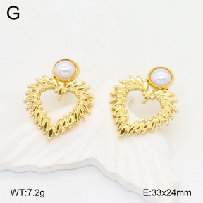 2E3003649aajl-472  Stainless Steel Earrings