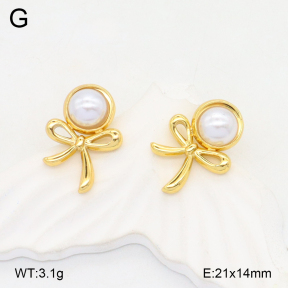 2E3003650aajl-472  Stainless Steel Earrings