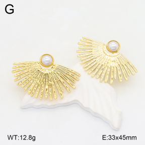 2E3003653aajl-472  Stainless Steel Earrings