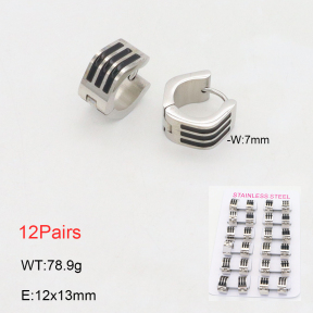 2E3003657akoa-387  Stainless Steel Earrings