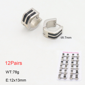 2E3003658akoa-387  Stainless Steel Earrings