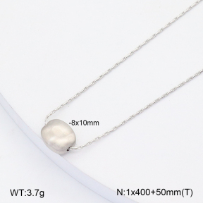 2N2006283vbpb-263  Stainless Steel Necklace