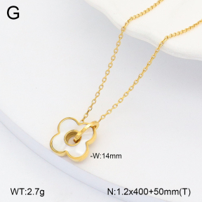 2N3002704bvpl-250  Stainless Steel Necklace