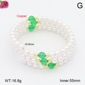 F2BA30081bhva-J128  Fashion Copper Bracelet