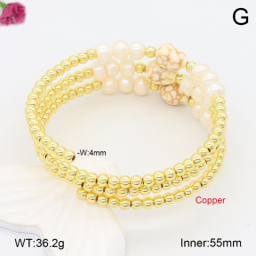 F2BA30093aiov-J128  Fashion Copper Bracelet