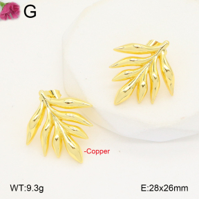 F2E201917ablb-J40  Fashion Copper Earrings