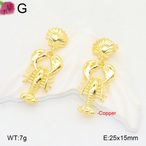 F2E201921vbmb-J40  Fashion Copper Earrings