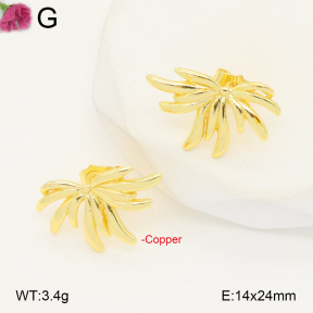 F2E201924ablb-J40  Fashion Copper Earrings