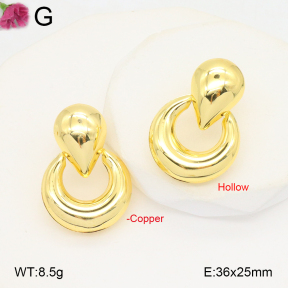 F2E201925ablb-J40  Fashion Copper Earrings