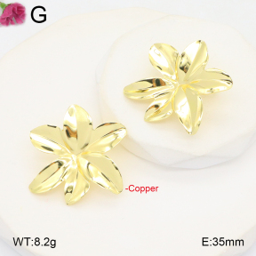 F2E201932ablb-J40  Fashion Copper Earrings