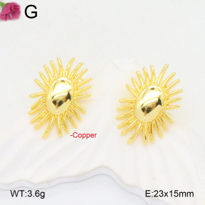 F2E201940ablb-J40  Fashion Copper Earrings