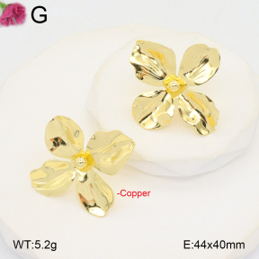F2E201950ablb-J40  Fashion Copper Earrings