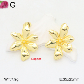 F2E201951ablb-J40  Fashion Copper Earrings