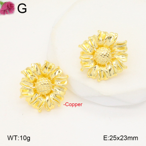 F2E201952ablb-J40  Fashion Copper Earrings