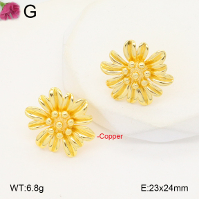 F2E201955ablb-J40  Fashion Copper Earrings