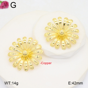 F2E201957vbmb-J40  Fashion Copper Earrings