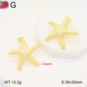 F2E201958ablb-J40  Fashion Copper Earrings