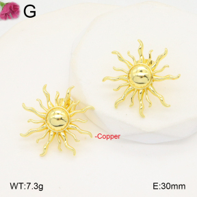F2E201960ablb-J40  Fashion Copper Earrings