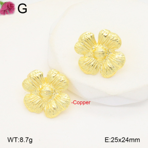 F2E201961ablb-J40  Fashion Copper Earrings
