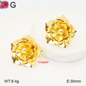 F2E201964ablb-J40  Fashion Copper Earrings