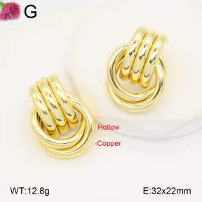 F2E201976ablb-J40  Fashion Copper Earrings