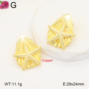 F2E201983ablb-J40  Fashion Copper Earrings