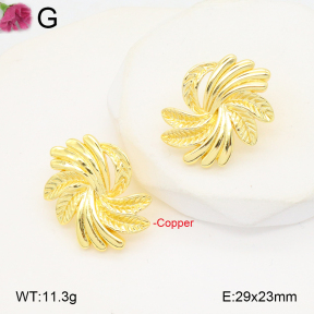 F2E201984ablb-J40  Fashion Copper Earrings