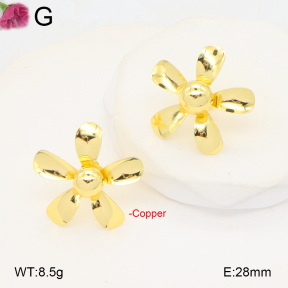 F2E201985ablb-J40  Fashion Copper Earrings
