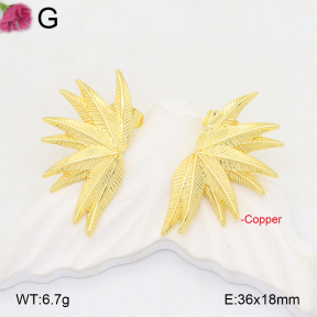 F2E201994ablb-J40  Fashion Copper Earrings